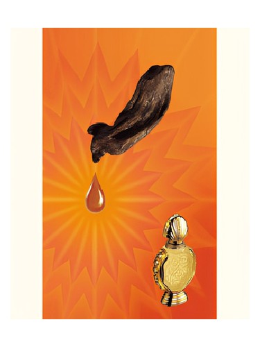 Frasco de Shatha Al Oudh, de Rasasi