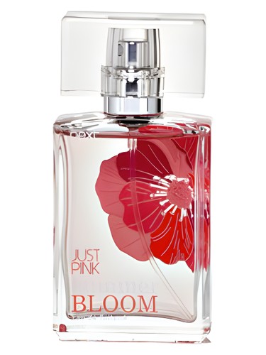 Frasco de Just Pink Bloom, de Next