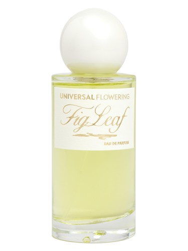 Frasco de Fig Leaf, de Universal Flowering