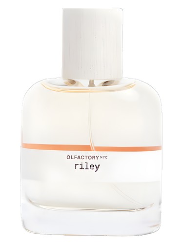Frasco de Riley — Olfactory NYC