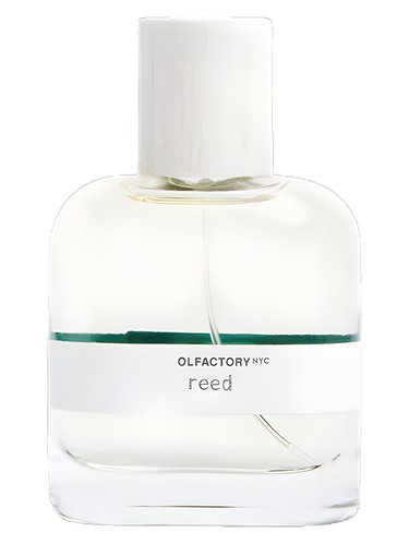 Frasco de Reed, de Olfactory NYC