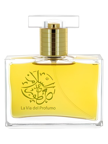 Frasco de Oud Beyond, de Abdes Salaam Attars Perfumes
