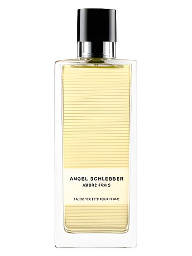 Frasco de Ambre Frais Femme, de Angel Schlesser