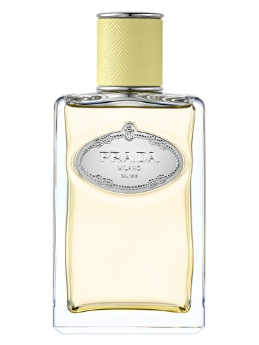 Frasco de Infusion de Gingembre, de Prada