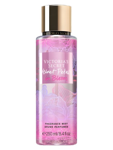 Frasco de Velvet Petals in Bloom — Victoria's Secret