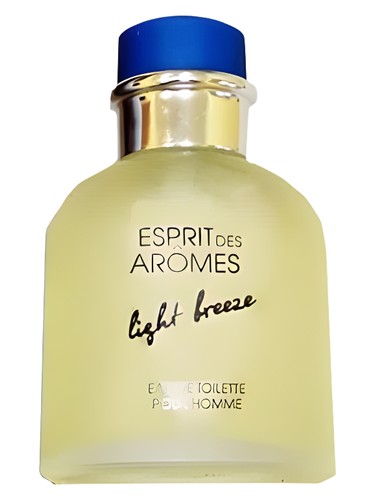 Frasco de Light Breeze pour Homme, de Новая Заря (The New Dawn)