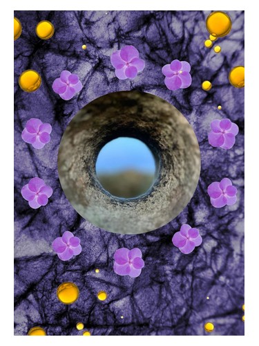 Frasco de Crown Of Violets, de ånd fragrances