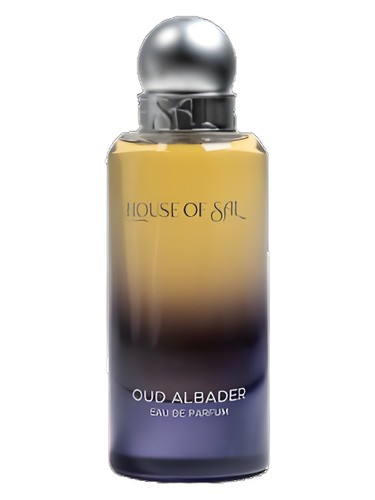 Frasco de Oud Al Badr, de House of Sal