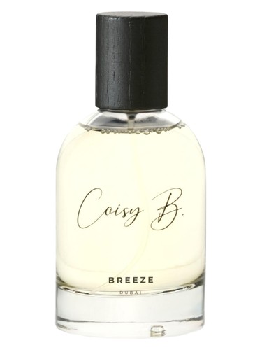 Frasco de Breeze — Coisy B.