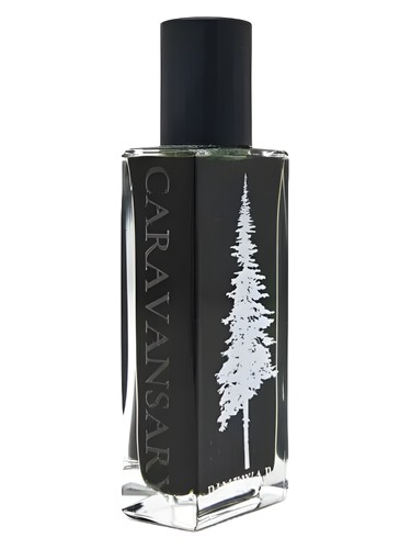 Frasco de Caravansary — Pineward Perfumes
