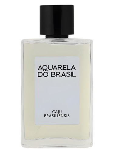Frasco de Caju Brasiliensis — Aquarela do Brasil
