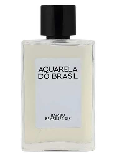 Frasco de Bambu Brasiliensis, de Aquarela do Brasil