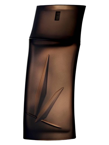 Frasco de Kenzo Homme Boisee — Kenzo