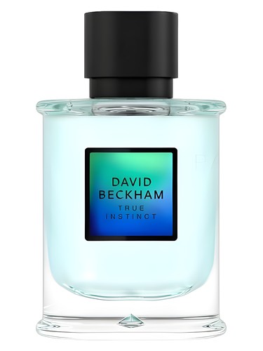 Frasco de David Beckham True Instinct, de David Beckham