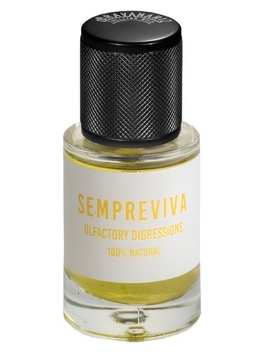 Frasco de Sempreviva, de Bravanariz