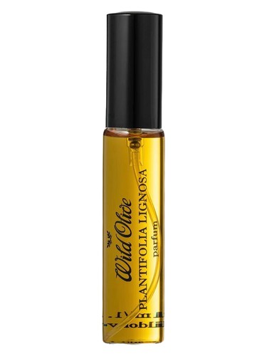 Frasco de Plantifolia Lignosa, de Wild Olive Artisans