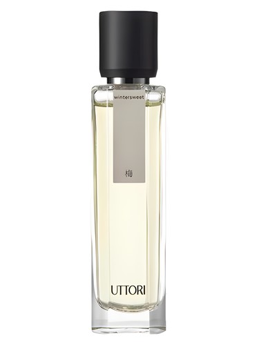 Frasco de Wintersweet 梅, de Uttori 五朵里