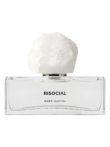Frasco de Silent Hill 空谷足音, de Risocial 在野南杂