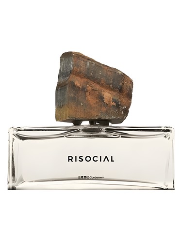 Frasco de Cardamom 豆蔻雪松, de Risocial 在野南杂