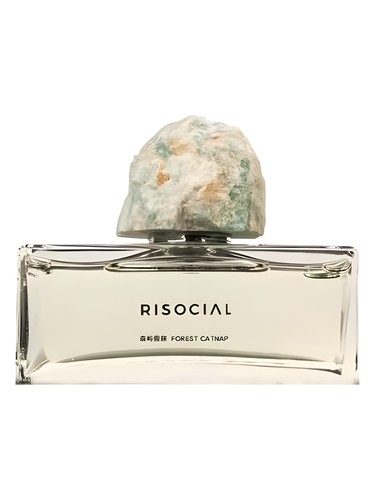Frasco de Forest Catnap 森屿假寐, de Risocial 在野南杂