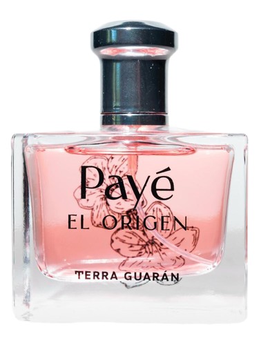 Frasco de Payè El Origen, de Terra Guarán