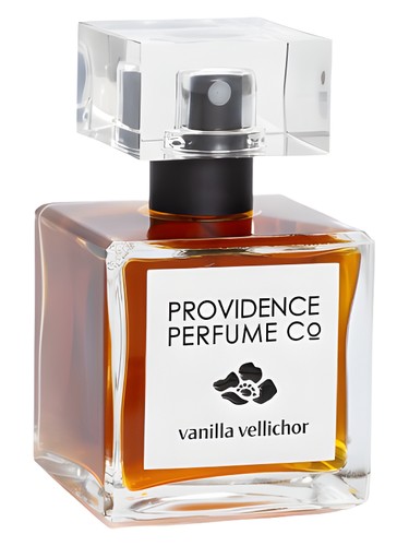 Frasco de Vanilla Vellichor — Providence Perfume Co.